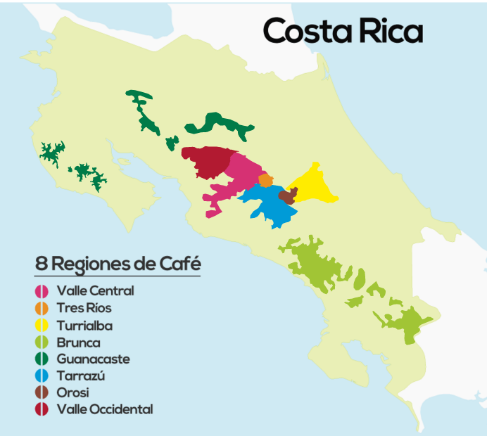 Mapa de las regiones productoras de café de Costa Rica elaborado por ICAFE.