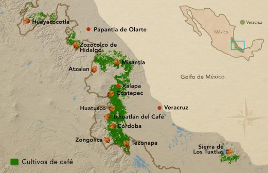 Mapa de las zonas cafetaleras del estado de Veracruz, en México. Imagen: Pronatura México. 