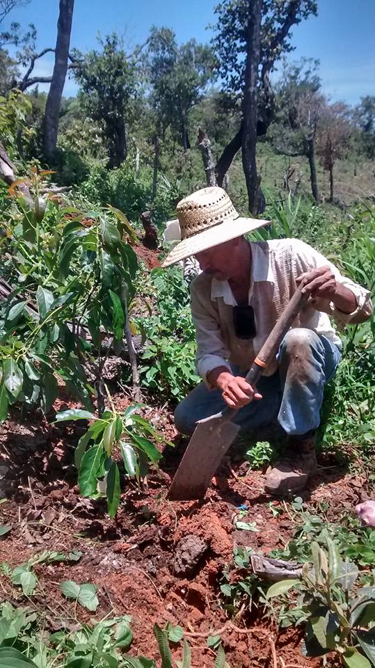 Rigoberto García, en su finca en Compostela, al sur del Estado de Nayarit. 